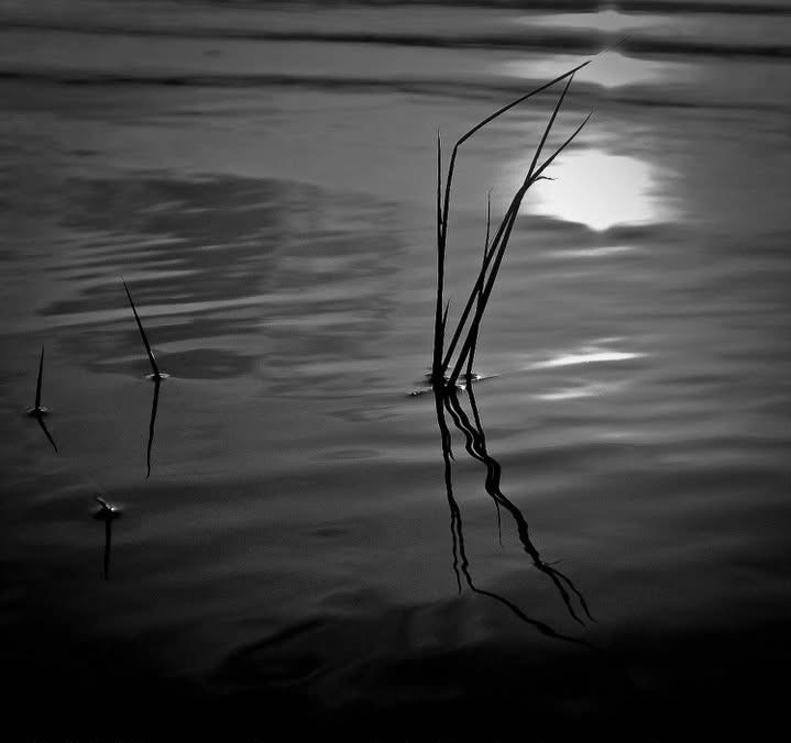 Serenity